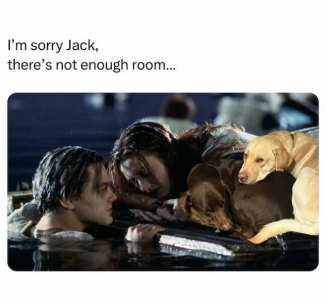 dogs58_025