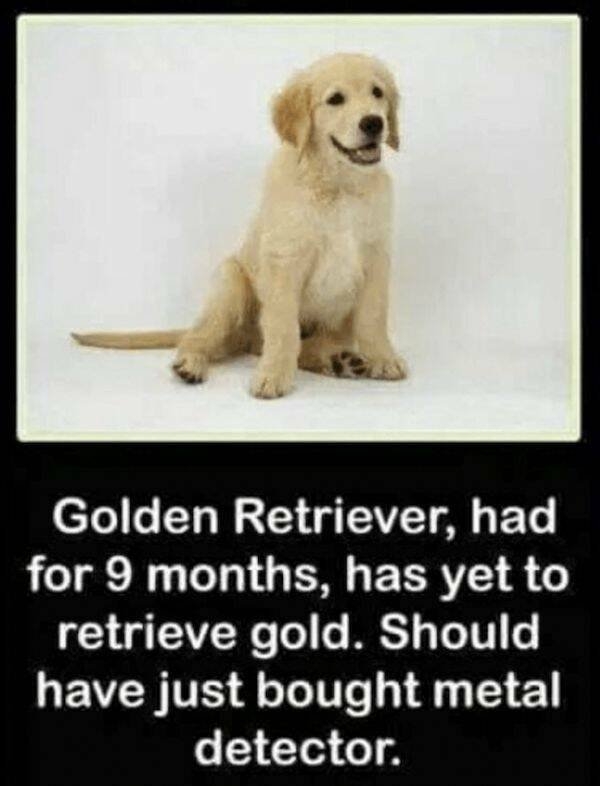 dogs58_032