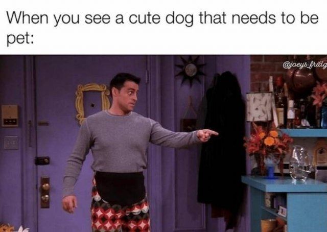 dogs58_033
