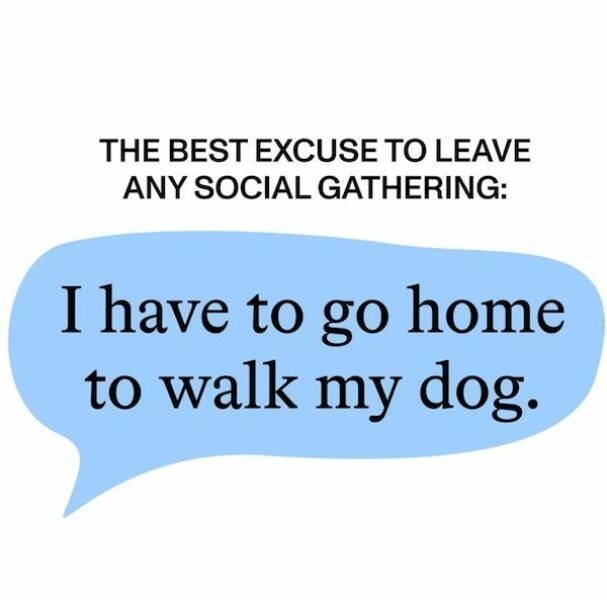 dogs58_036