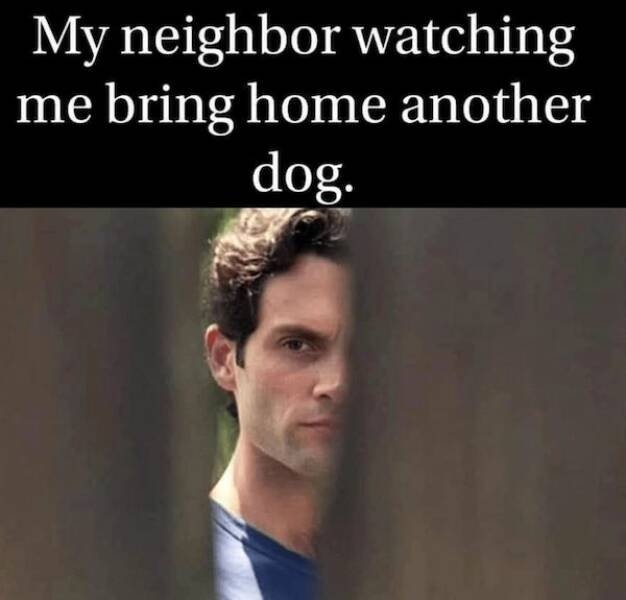 dogs58_037