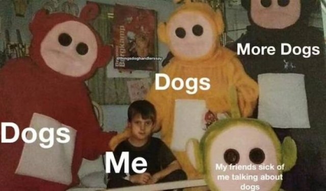 dogs58_038