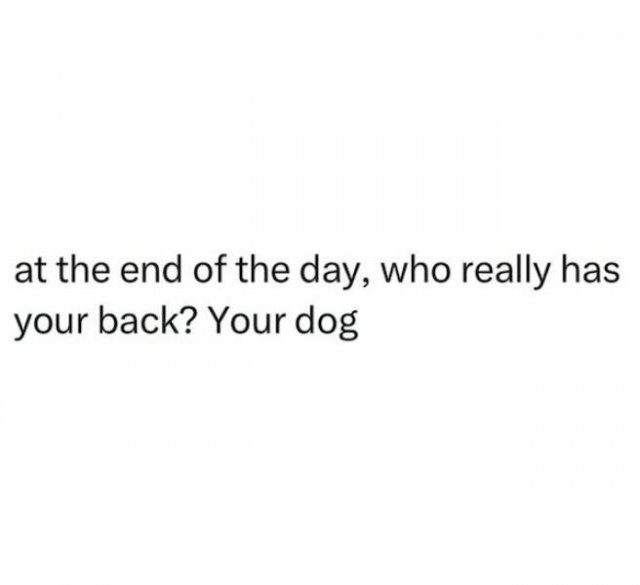dogs58_039