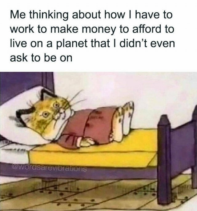 funnymemes194_008