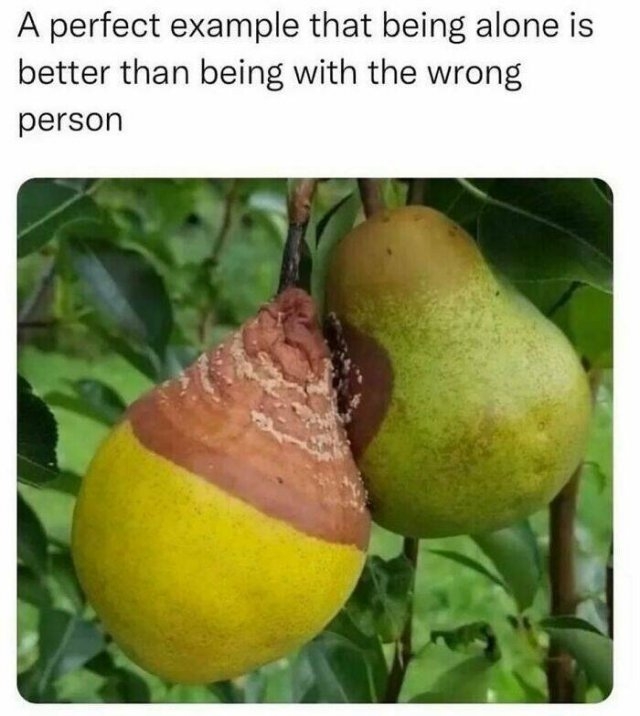 funnymemes194_010