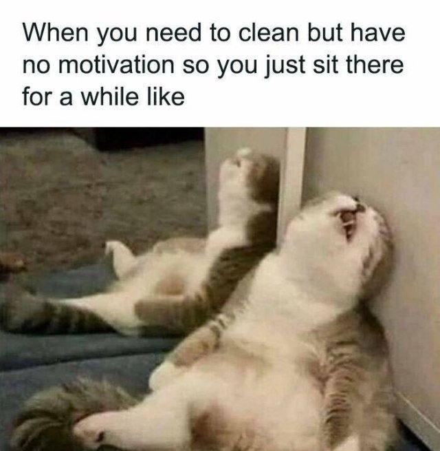 funnymemes194_011