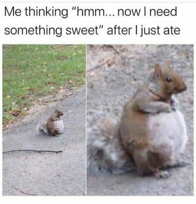 funnymemes194_014