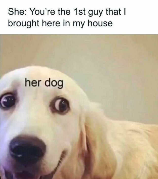 funnymemes194_015