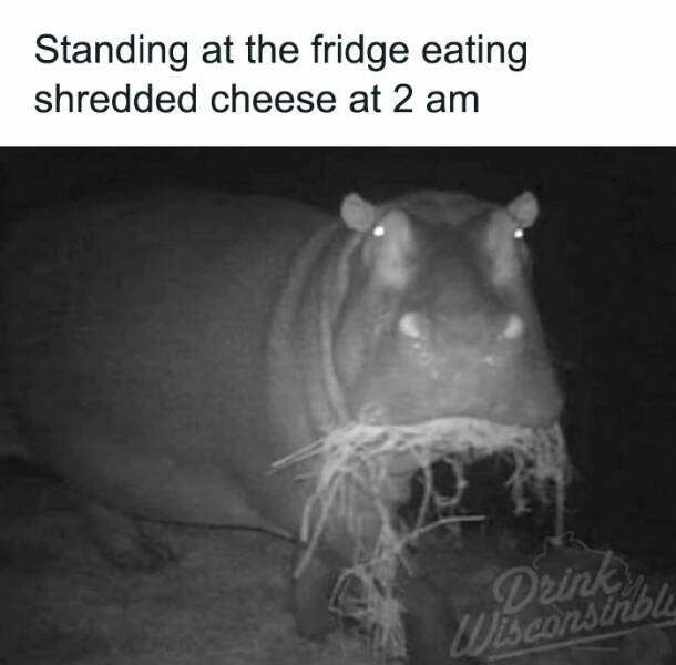 funnymemes194_020
