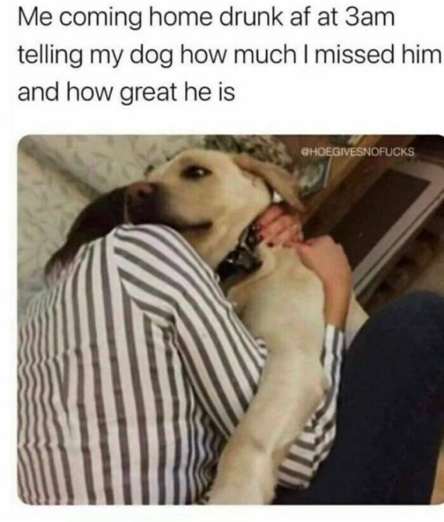 funnymemes194_021
