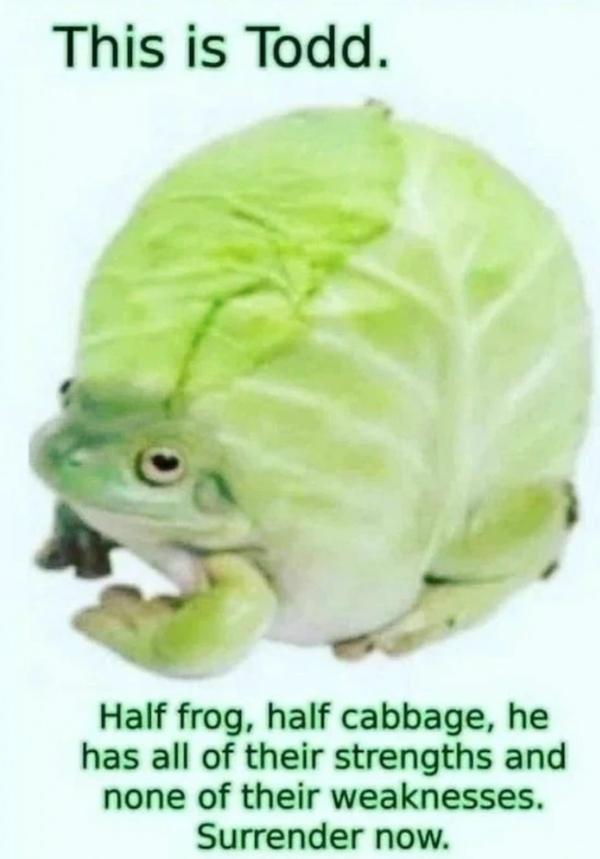 funnymemes197_001