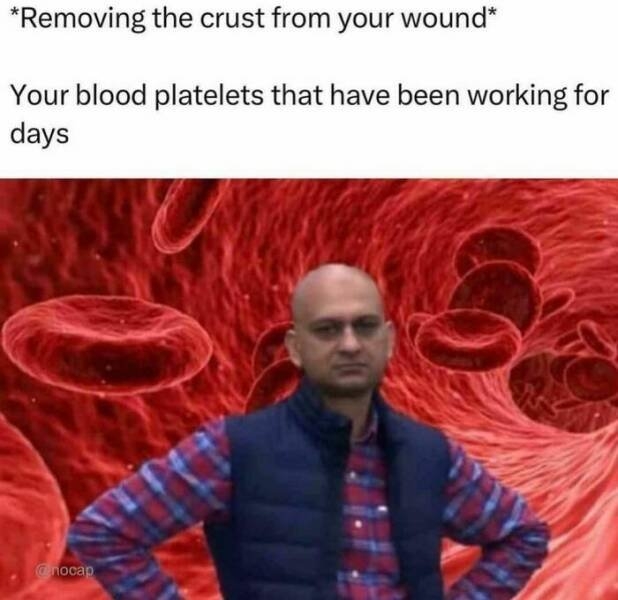 funnymemes197_010