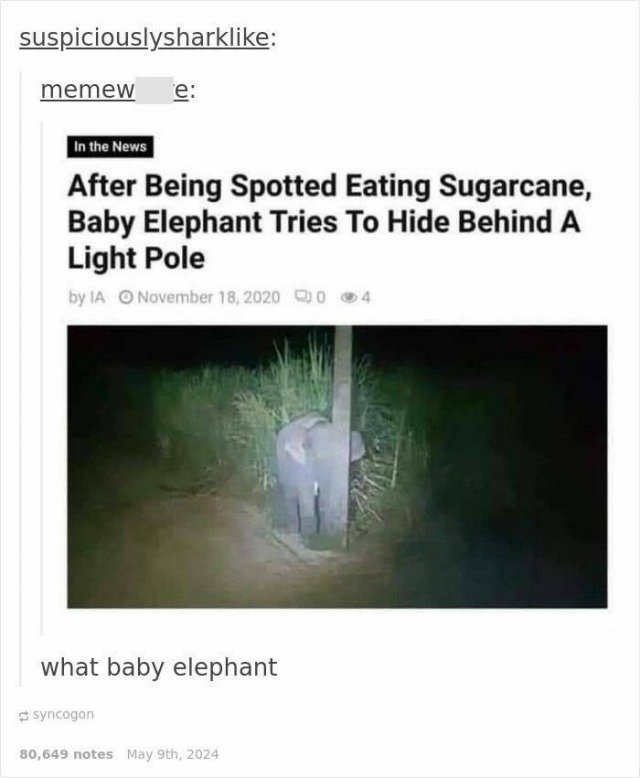 funnymemes197_021