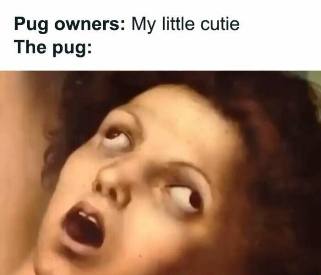 funnymemes197_025