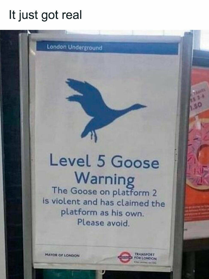 funnysigns33_014