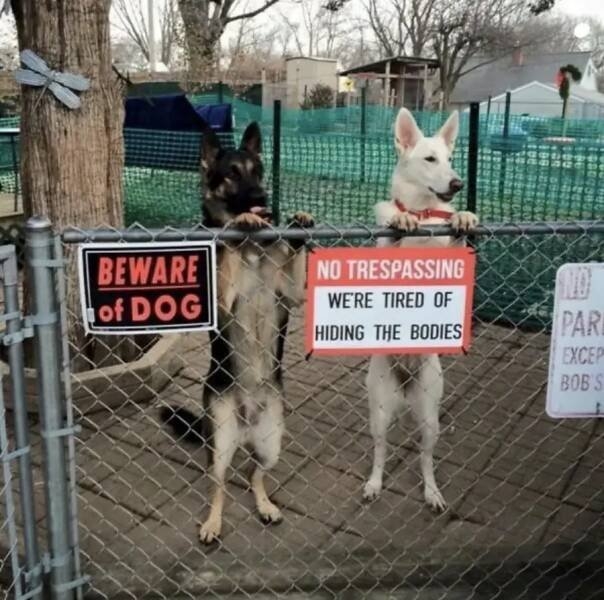 funnysigns33_031