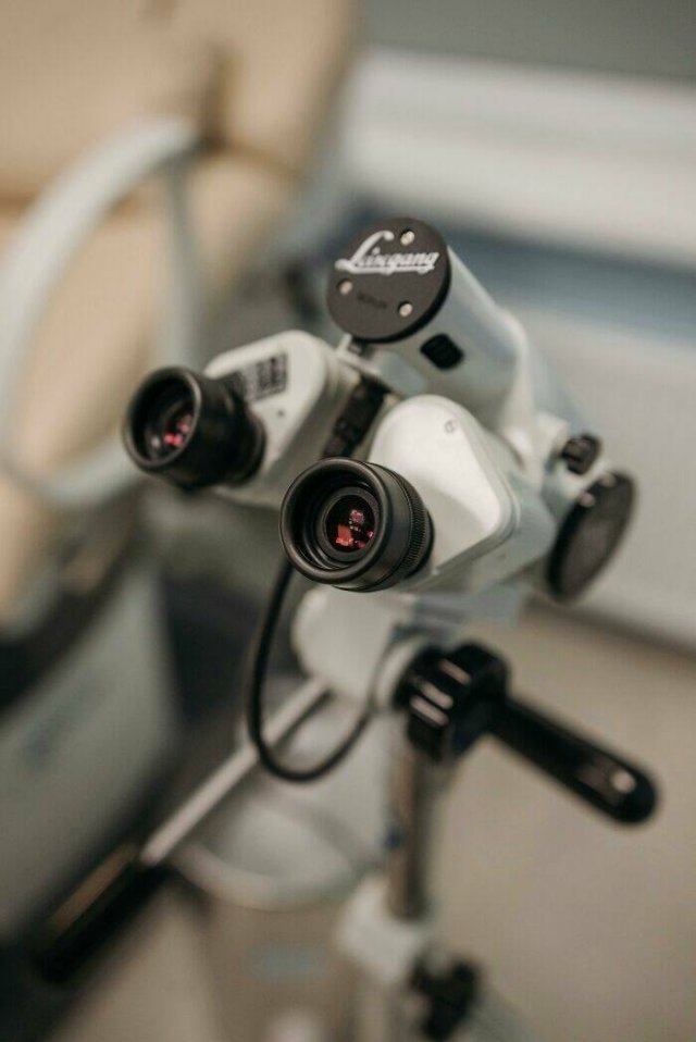 interestingfacts96_009