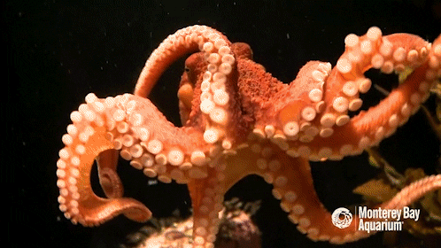 interestingfacts98_003 interestingfacts98_003