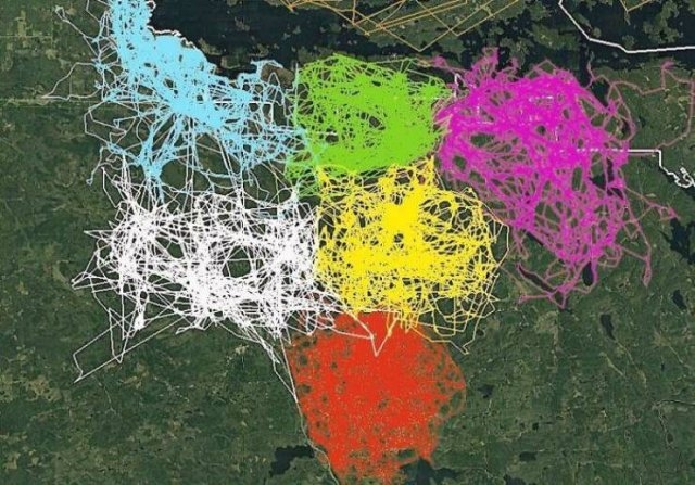 interestingmaps9_004