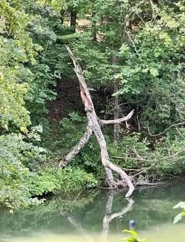 randompics1351_073