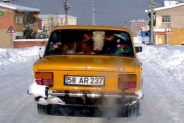 randompics1368_053