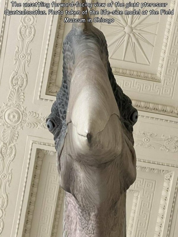 randompics1371_056