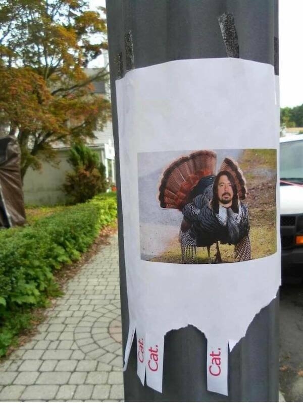 strangedesigns39_018