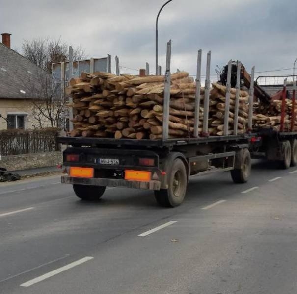 strangedesigns40_002