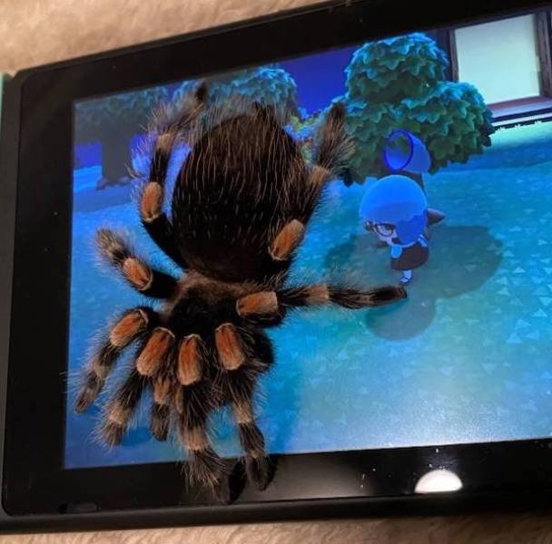 strangedesigns40_020