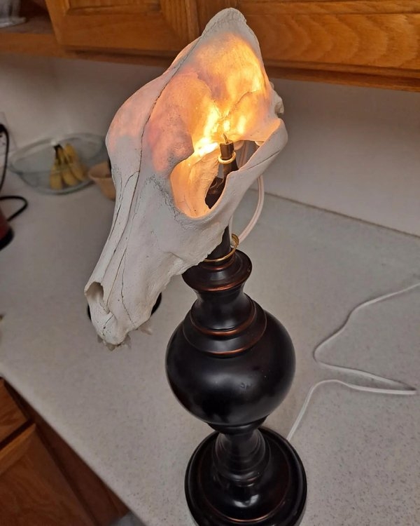 strangedesigns40_026