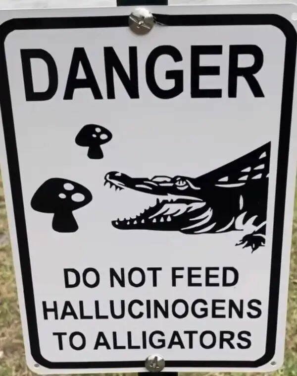 funnysigns34_027