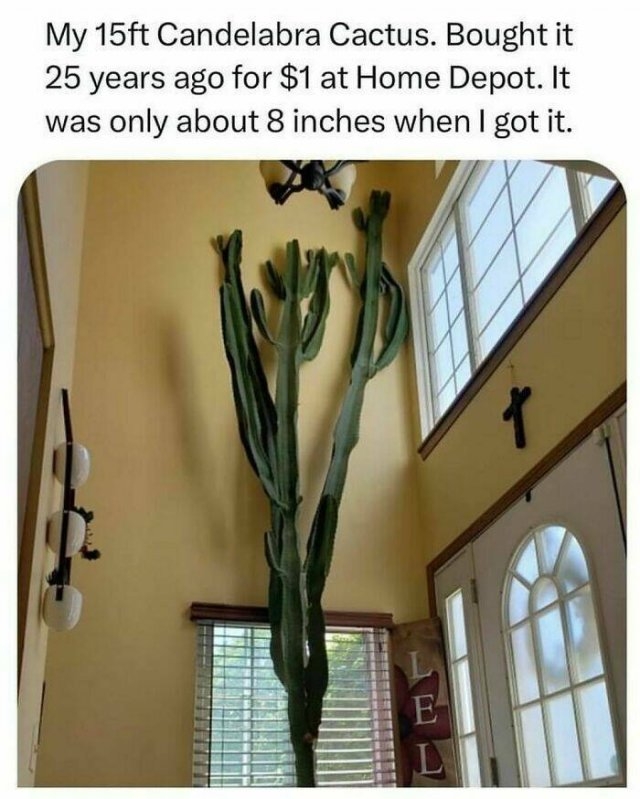 interestingfacts100_003