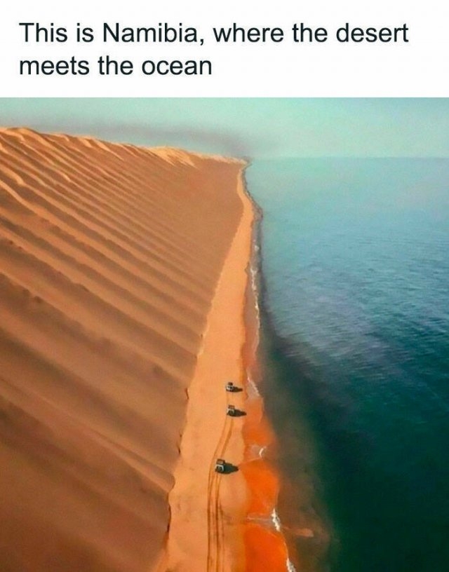 interestingfacts100_008