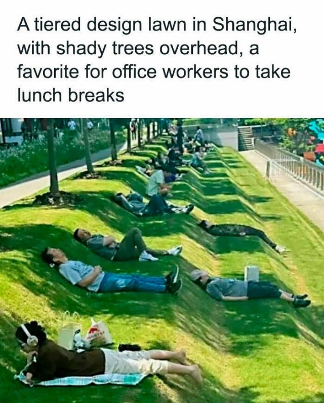 interestingfacts100_013