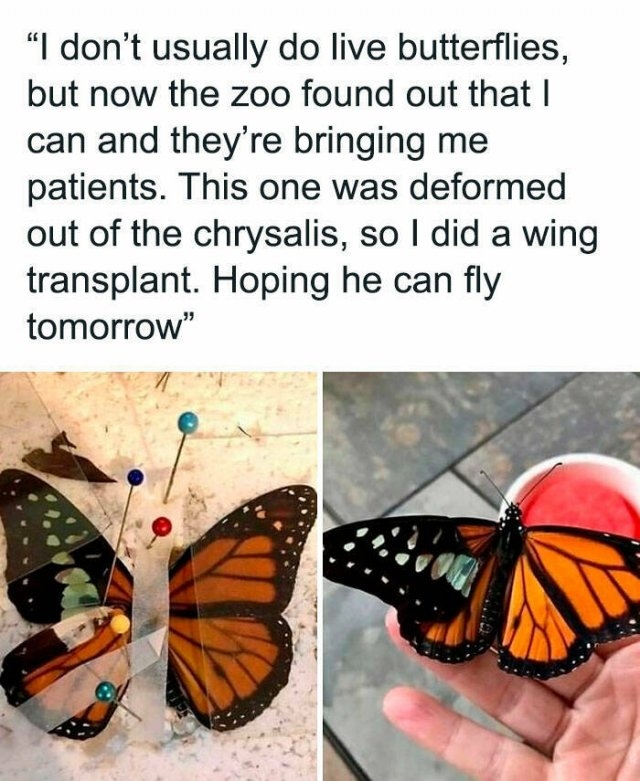 interestingfacts100_016