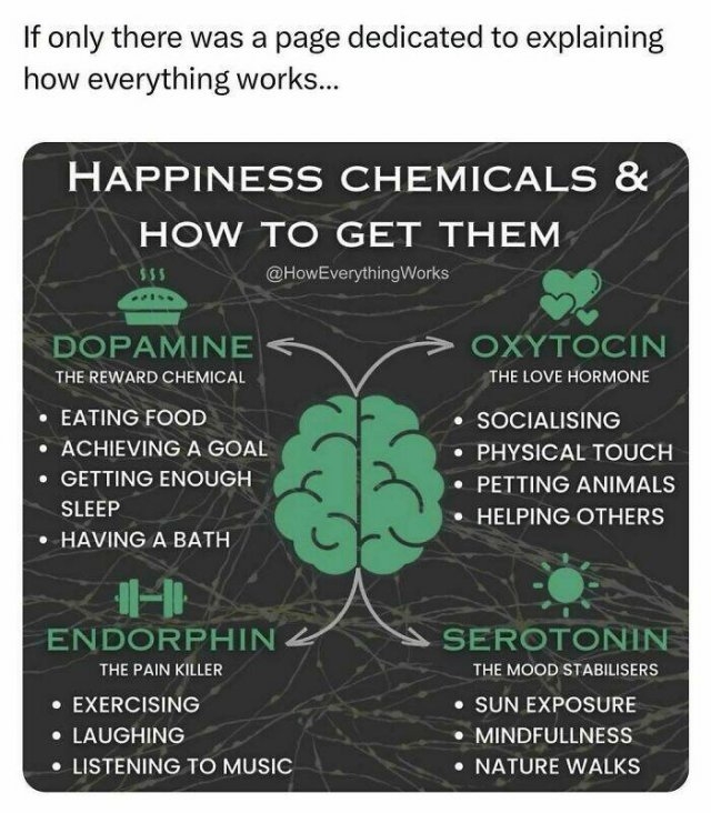 interestingfacts100_019