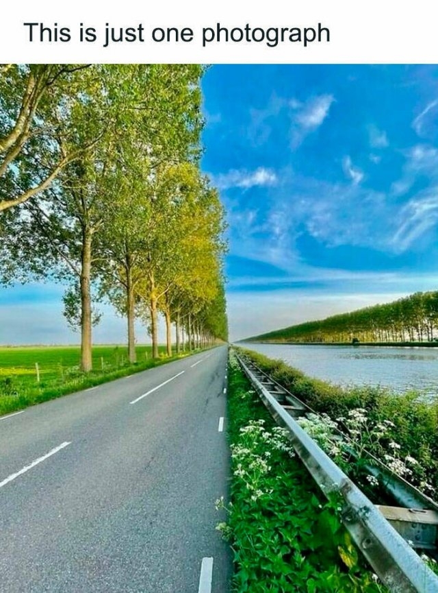 interestingfacts100_024