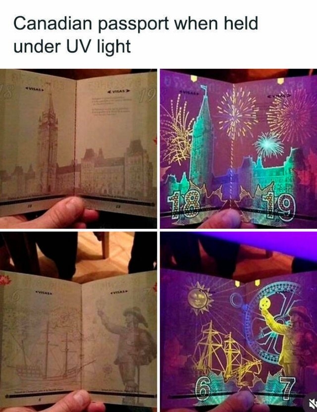 interestingfacts100_026