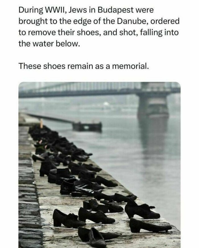 interestingfacts106_006