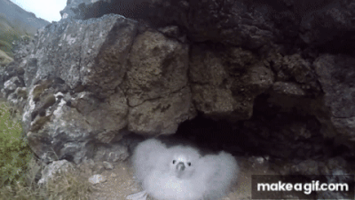 interestingfacts108_003