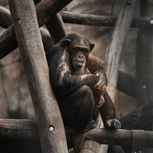 interestingfacts110_003