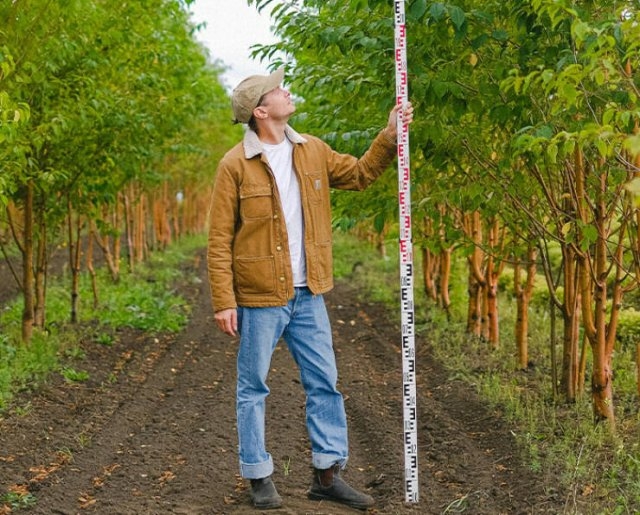 interestingfacts110_006