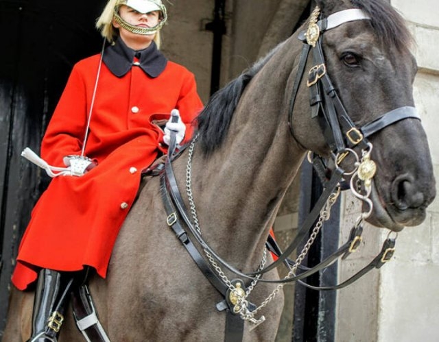 interestingfacts110_016