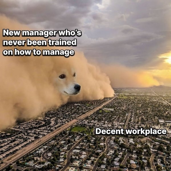 workmemes28_023