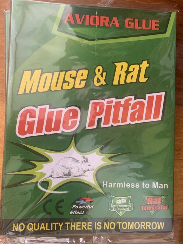 badtranslations10_018