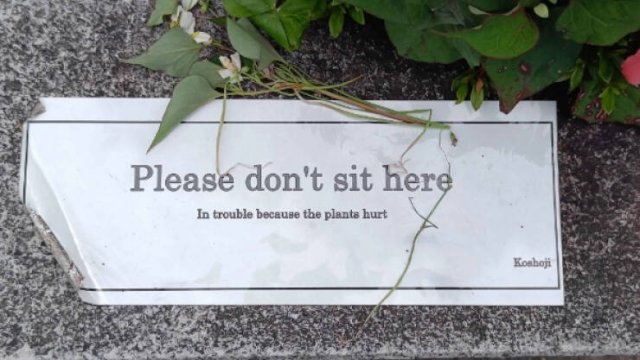 badtranslations10_019