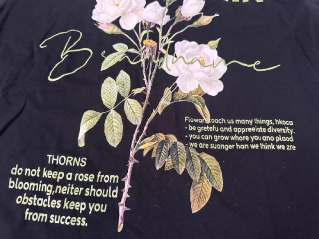 badtranslations10_025