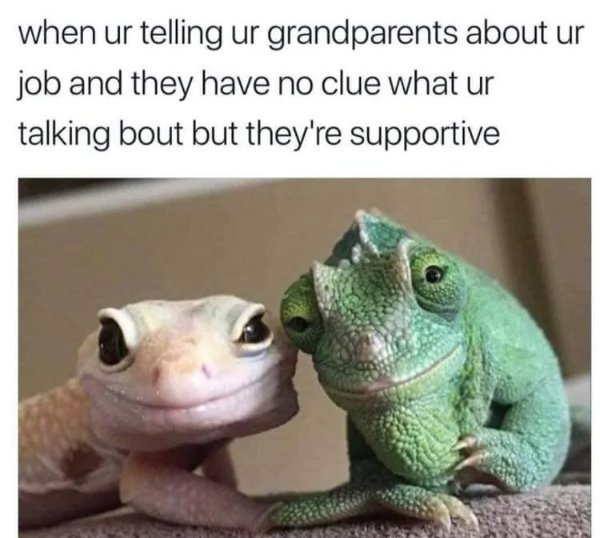 funnymemes204_002