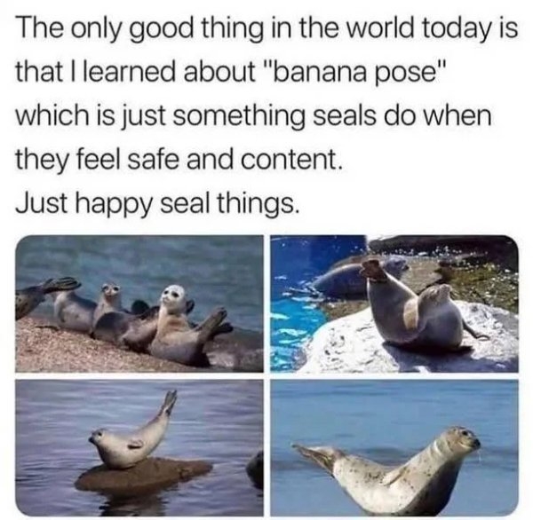 funnymemes204_003