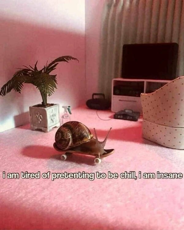 funnymemes204_004